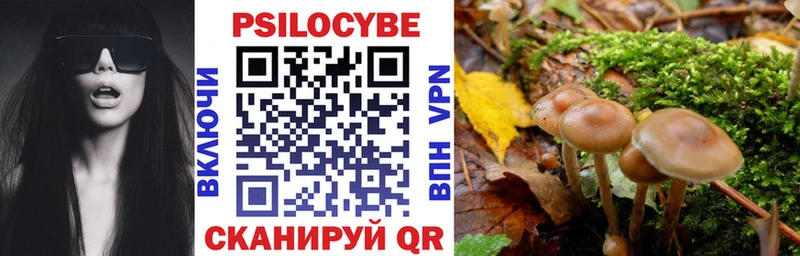 Псилоцибиновые грибы Psilocybine cubensis  Курск 